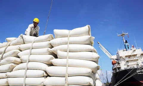 Có hay không nhóm lợi ích trục lợi chính sách xuất khẩu gạo?