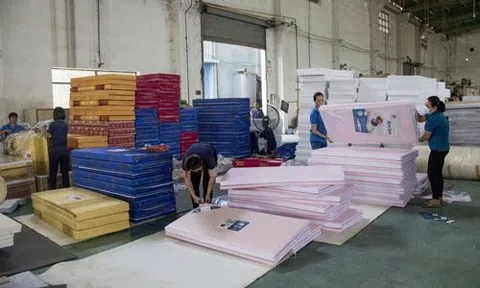 Mỹ điều tra chống bán phá giá và chống trợ cấp đệm mút Việt Nam