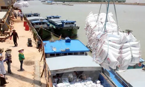 Xử lý nghiêm các trường hợp đầu cơ găm hàng, thao túng giá đối với mặt hàng gạo