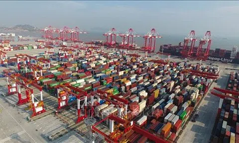 Doanh nghiệp châu Âu đánh giá cao các giải pháp của Chính phủ Việt Nam