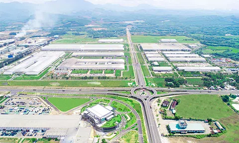 THACO nằm trong top các doanh nghiệp tư nhân lớn nhất Việt Nam năm 2019
