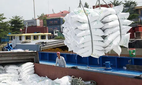 Bộ Tài chính đề nghị điều tra 2 vấn đề liên quan đến xuất khẩu gạo: Cơ quan công an sẽ điều tra theo qui trình, qui định nào ?