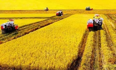 Đề xuất miễn hơn 37.000 tỷ đồng thuế sử dụng đất nông nghiệp để hỗ trợ trực tiếp cho nông dân