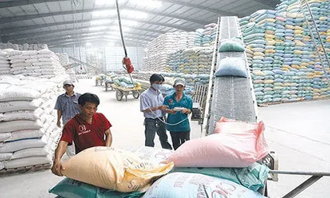 Sai phạm trong việc sử dụng kho dự trữ quốc gia, 7 Cục trưởng Cục dự trữ nhà nước khu vực sẽ bị điều tra