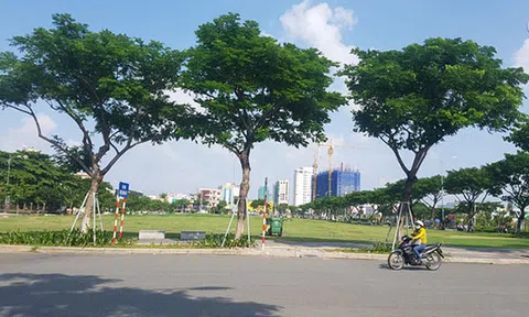 Kiến nghị giải pháp chặn thao túng đấu giá đất tại một số địa phương và vấn nạn “đầu cơ đất kiểu mới”