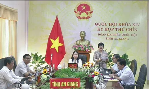 Hộ kinh doanh có nên đưa vào Luật Doanh nghiệp hay ban hành luật riêng?