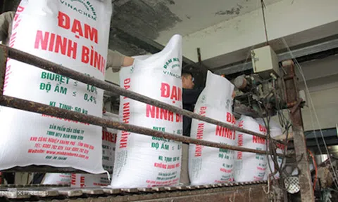 Nhiều công ty vốn Nhà nước vào diện 'giám sát tài chính đặc biệt'