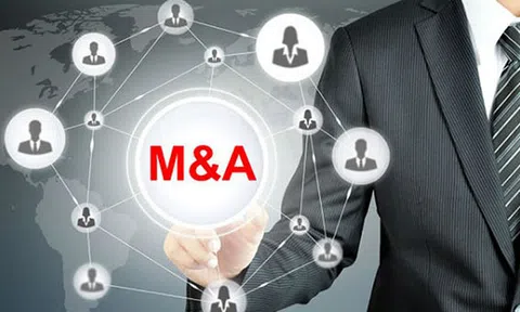 Chuyên gia phân tích cơ sở pháp lý và những tác động nếu tạm dừng hoạt động mua bán, sáp nhập doanh nghiệp