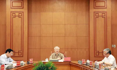 Chỉ đạo điều tra, xử lý nghiêm minh các vụ án Nhật Cường, Sabeco, Sagri, VEC …