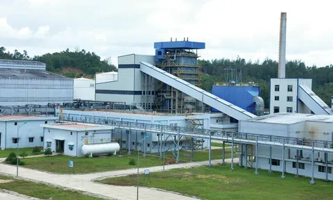 Nhà máy ethanol Bình Phước không hoạt động vẫn lỗ nghìn tỷ