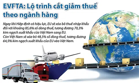 EU xóa bỏ khoảng 85,6% số dòng thuế nhập khẩu đối với hàng hoá Việt Nam ngay khi EVFTA có hiệu lực