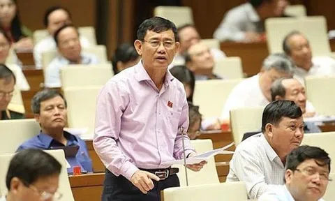 Mới chỉ có 8% tổng số doanh nghiệp đầu tư vào lĩnh vực nông nghiệp