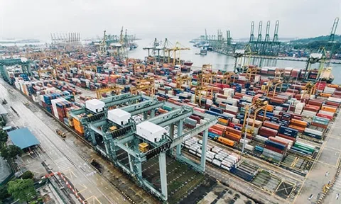 EVFTA: Cửa ngõ mới cho đa dạng hóa thị trường