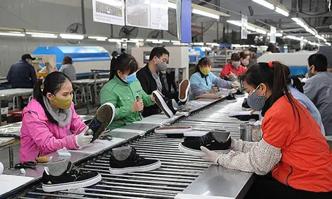 Phòng vệ thương mại trong EVFTA: Nắm vững cam kết để bảo vệ lợi ích chính đáng