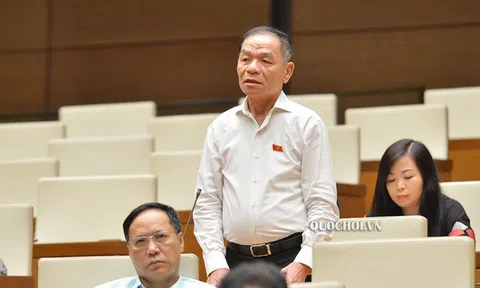Đại biểu Quốc hội đề xuất xây dựng luật an ninh kinh tế