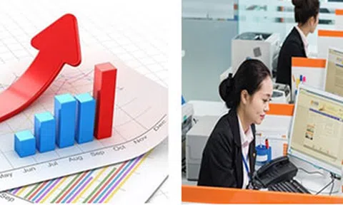 8 án lệ hữu ích đối với doanh nghiệp về lĩnh vực kinh doanh - thương mại (Kỳ 1)
