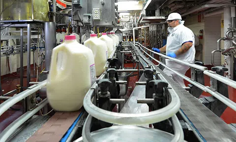 Nhà máy sữa tại Mỹ của Vinamilk hưởng ứng chiến dịch ủng hộ sữa cho người dân gặp khó khăn trong đại dịch Covid - 19