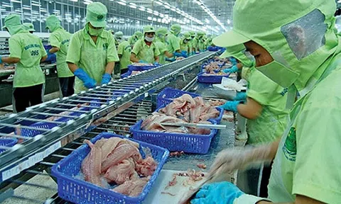 Phòng vệ Thương mại: Vai trò quan trọng giúp bảo vệ doanh nghiệp