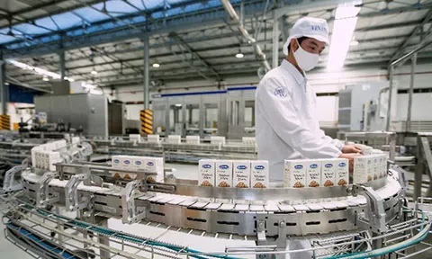 Vinamilk là doanh nghiệp đầu tiên của Việt Nam được cấp phép xuất khẩu sản phẩm sữa vào Nga và các nước Liên minh kinh tế Á - Âu