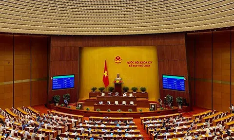 Quốc hội đã biểu quyết thông qua Luật Hòa giải, đối thoại tại Tòa án