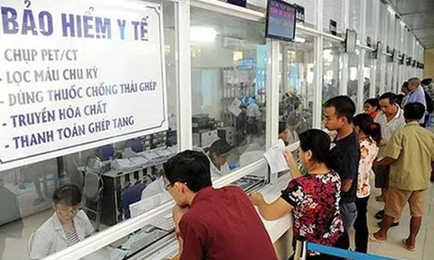 WHO và BHXH Việt Nam tăng cường triển khai nhiều kế hoạch hợp tác lớn