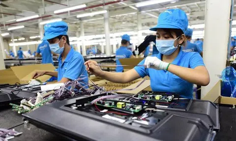 Các quy định mới về bảo hiểm có hiệu lực từ ngày 15/7/2020
