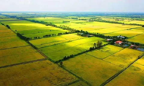 Quy định mới nhất về bồi thường thu hồi đất