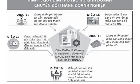 Chuyển đổi hộ kinh doanh thành doanh nghiệp: Còn nhiều trở ngại
