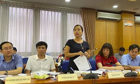 Thanh tra toàn bộ các cuộc đấu giá có sự tham gia của vợ chồng Đường 'Nhuệ'