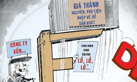 Chống chuyển giá doanh nghiệp có vốn đầu tư nước ngoài FDI cần Kiểm toán Nhà nước vào cuộc