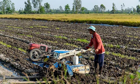 Cần sớm sửa đổi Luật thuế 71