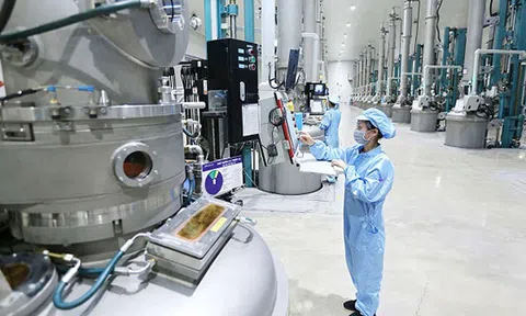 Lượng đơn xử lý Sở hữu trí tuệ trong 5 tháng đầu năm tăng 0,6% so với cùng kỳ