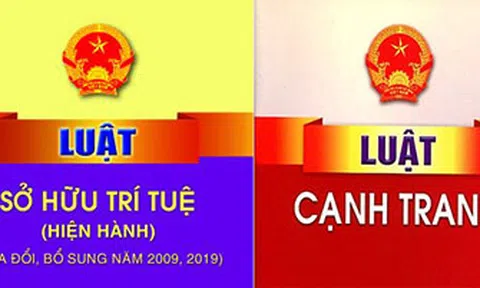 Quốc hội phê chuẩn Hiệp định EVFTA: Vì sao pháp luật về Sở hữu trí tuệ cần được ưu tiên sửa đổi?