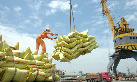 Những điều cần biết về EVFTA: Cam kết xóa bỏ thuế nhập khẩu của EU