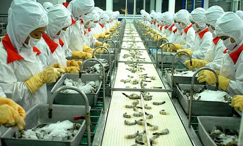 Bộ Công Thương: Tăng cường hỗ trợ doanh nghiệp ứng phó điều tra chống bán phá giá từ WTO