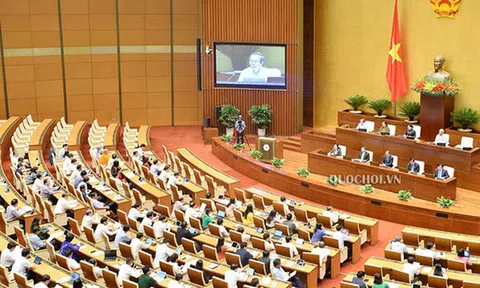9 đối tượng không có quyền thành lập và quản lý Doanh nghiệp