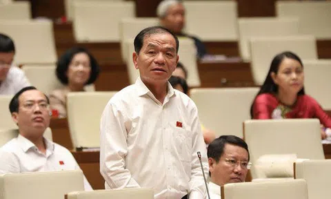 Đại biểu Quốc hội Lê Thanh Vân và những đề xuất sắc sảo