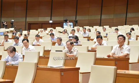 Đại biểu Quốc hội và những ý kiến xác đáng về  3 dự án luật điều chỉnh lĩnh vực đầu tư, kinh doanh