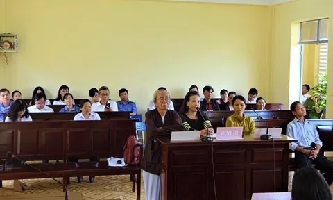 Giải quyết các vụ án dân sự về quyền sở hữu – Sai sót cần rút kinh nghiệm