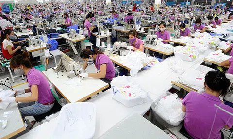Cơ hội xuất khẩu cực lớn khi thực thi Hiệp định EVFTA