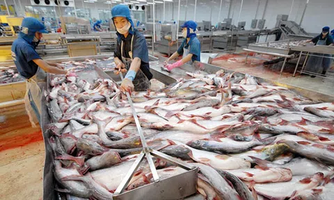 Hỗ trợ doanh nghiệp ứng phó với các vụ kiện phòng vệ thương mại
