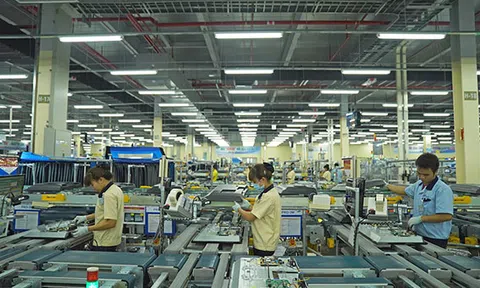 Chưa gỡ rào cản, doanh nghiệp tư nhân khó bứt phá