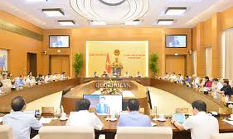 Uỷ ban Thường vụ Quốc hội xem xét công tác nhân sự ​