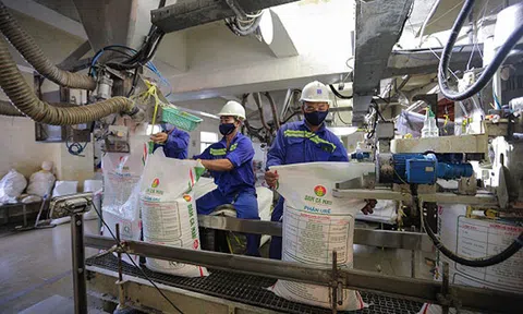 Tập đoàn Dầu khí Quốc gia Việt Nam: Nỗ lực đạt “mục tiêu kép” trong “khủng hoảng kép”