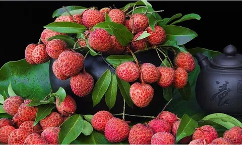 Cơ hội khẳng định thương hiệu cho 39 mặt hàng của Việt Nam được EU bảo hộ chỉ dẫn địa lý