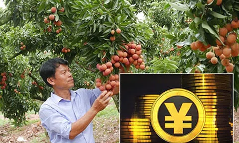 Tiền số Trung Quốc sẽ tác động đến doanh nghiệp Việt