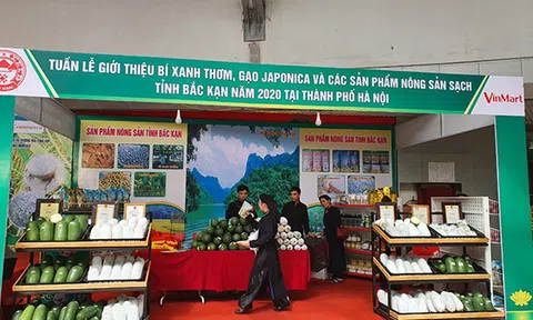 Người tiêu dùng Thủ Đô đón nhận các nông sản sạch của tỉnh Bắc Kạn tại 2 hệ thống siêu thị của VinMart