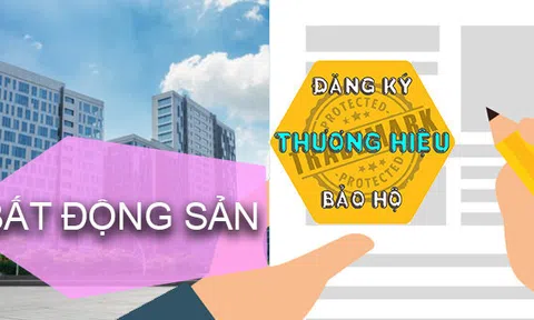 Khởi kiện để bảo vệ thương hiệu: Những tình huống pháp lý và bài học rút ra cho doanh nghiệp Việt
