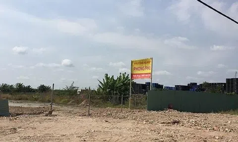 Thanh tra TP.HCM chuyển cơ quan điều tra sai phạm tại 2 công ty