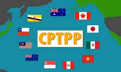 Chính phủ ban hành Nghị định hướng dẫn về đấu thầu mua sắm theo CPTPP